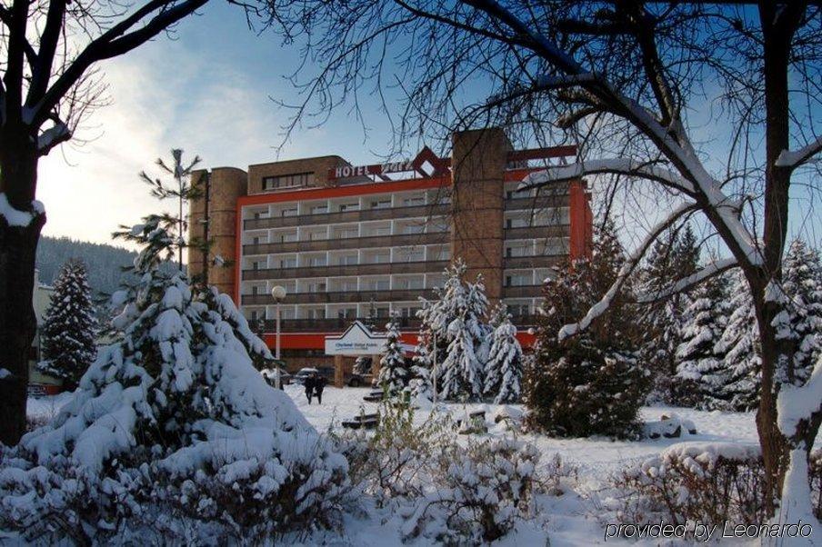 Park Hotel 4*